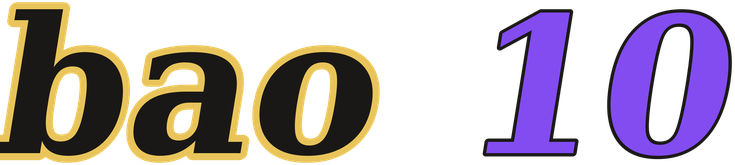 bao 10 logo